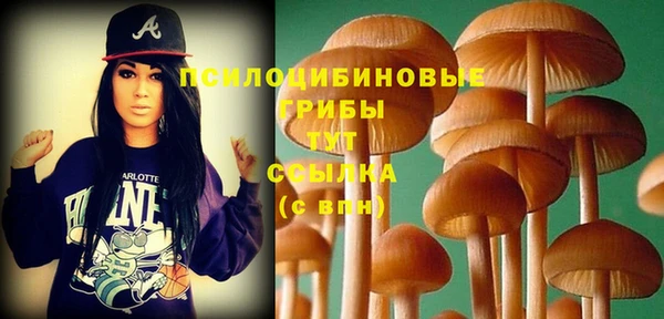 ECSTASY Козловка